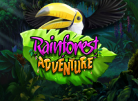 Rainforest Adventure